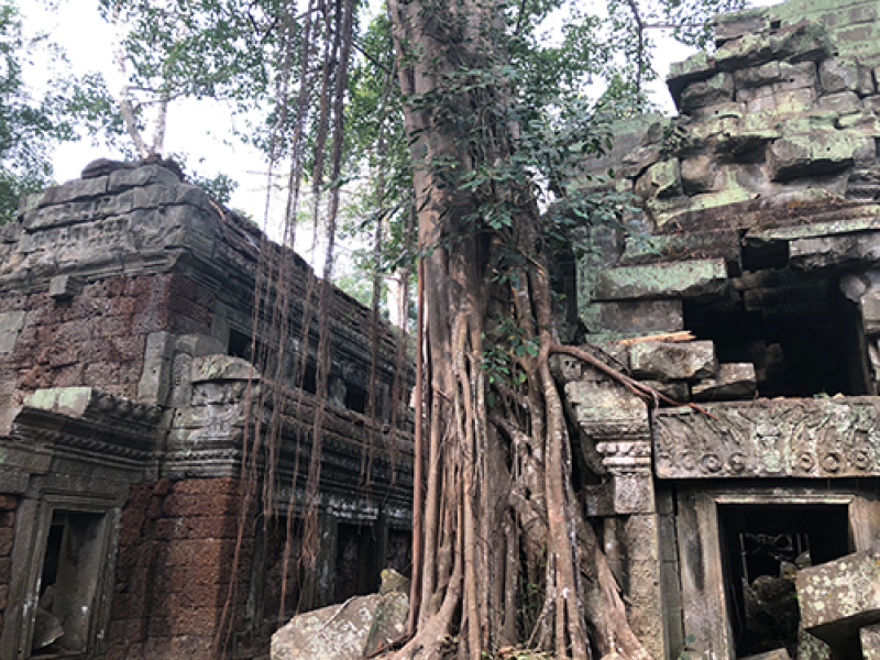 Ta Phrom 3