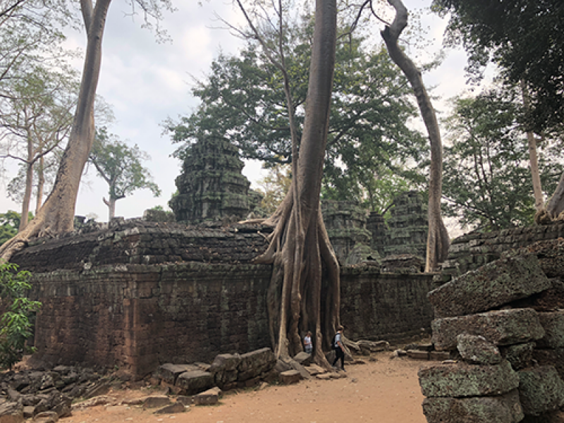 Ta Phrom3