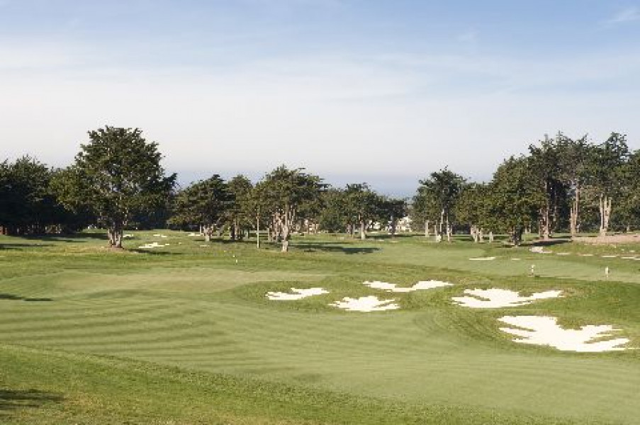 3656358667 117c1959ff o