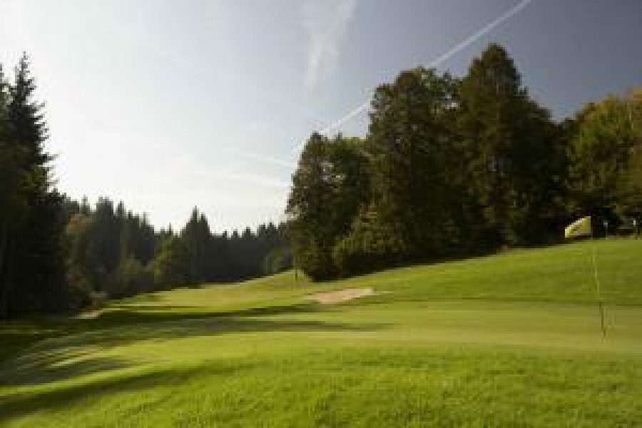 AUSTRIA BATCH 7 006522