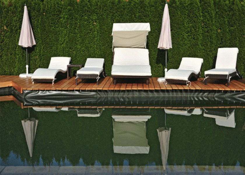 Naturteich mit Sonnenliegen Herzblut