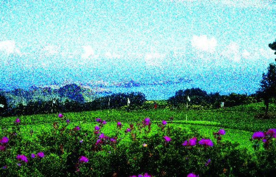 2.6 Santo da Serra Golf