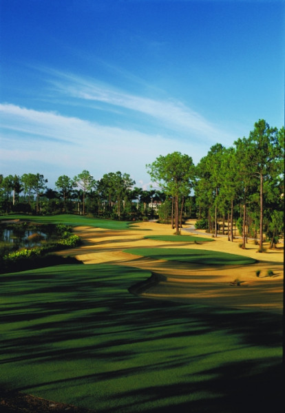 006300010547 RCNAPGLF 00005 8247