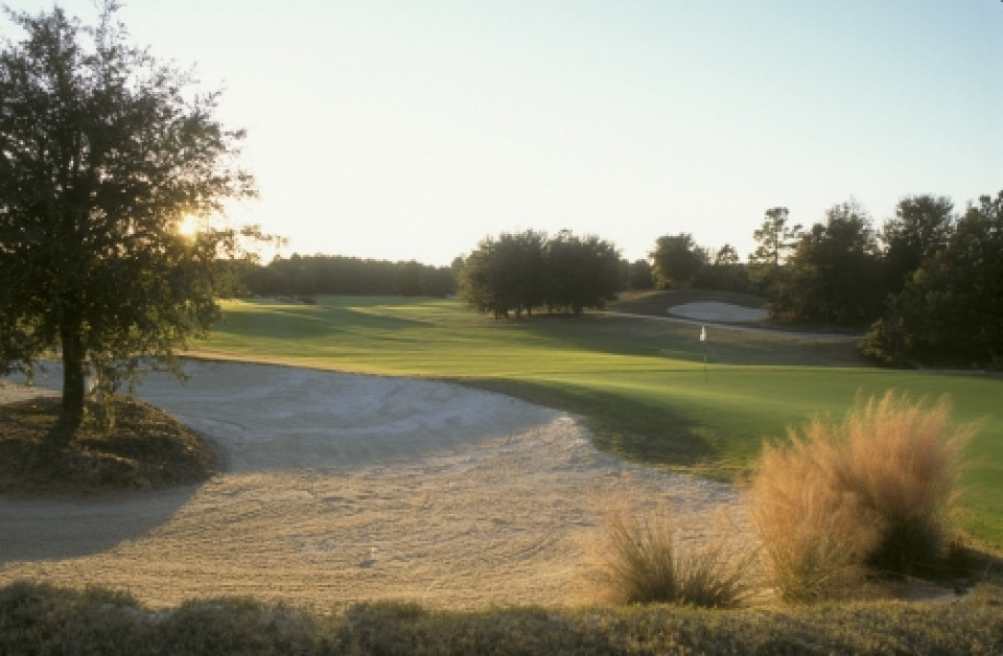 World Woods Pine Barrens 378