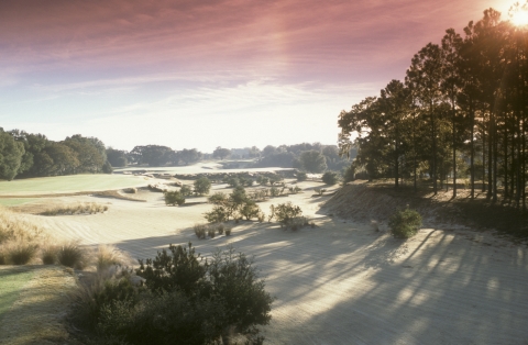 World Woods Pine Barrens 207