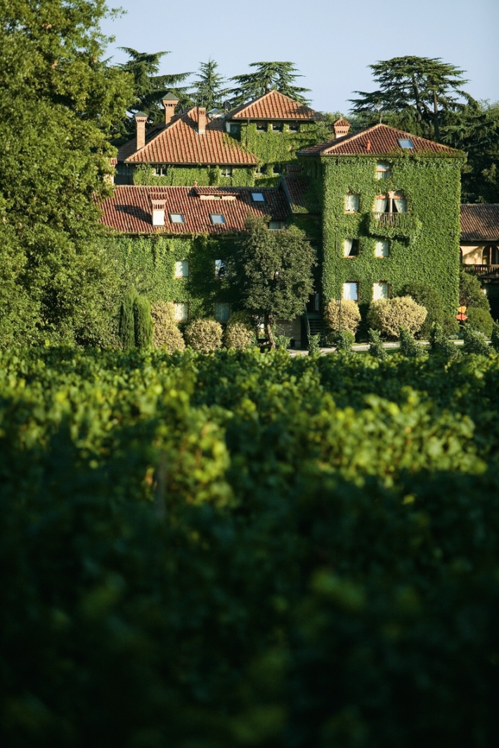 Copia di Vista dalla Vigna Leone 4