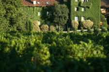 Copia di Vista dalla Vigna Leone 4