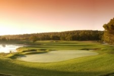 tblanche1 10th 843339