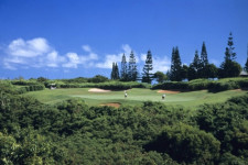 Plantation Course8