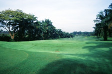 the saujana