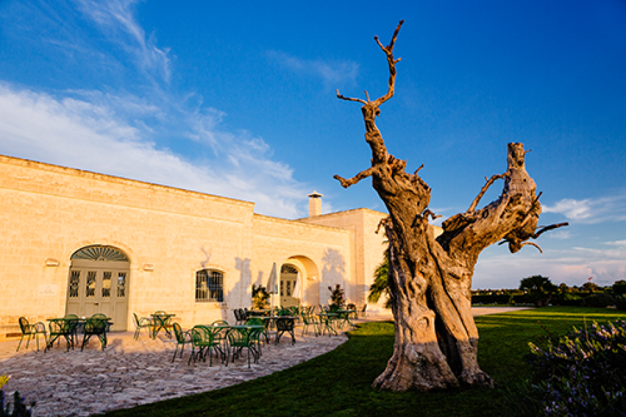 BorgoEgnazia SanDomenicoGolf ClubHouse