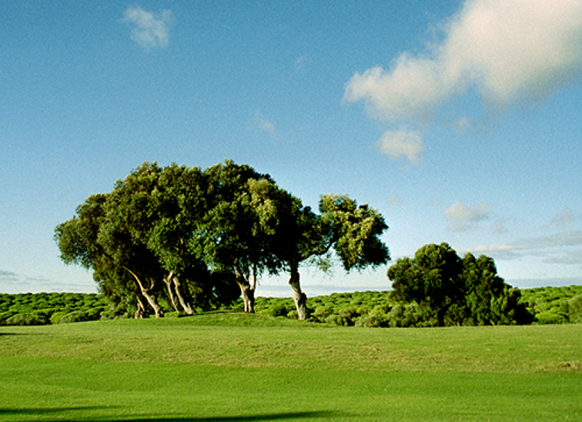 Zahara de los Atunes0001