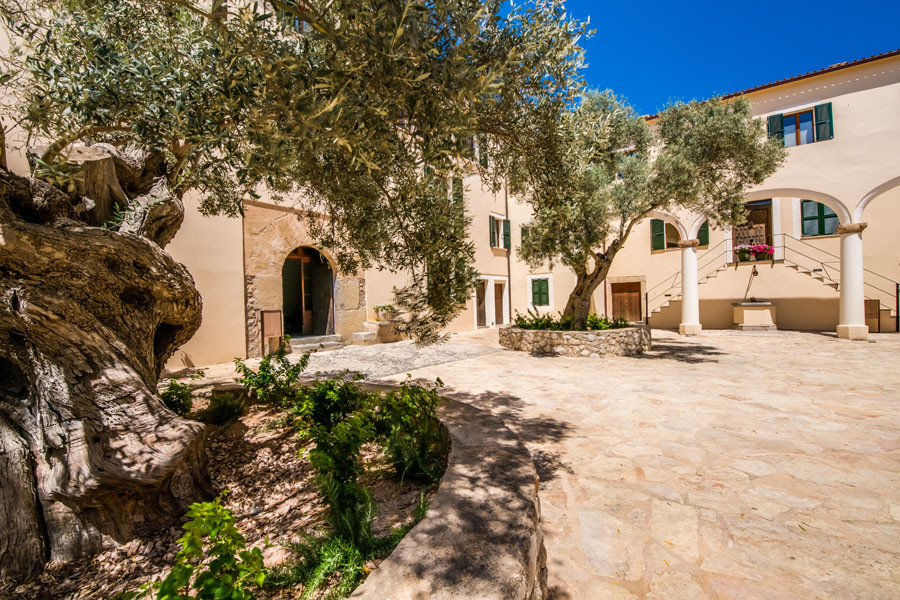 Carrossa Resort Patio de los Olivos