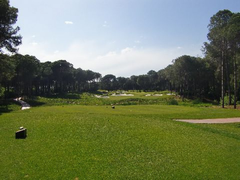 Carya 1