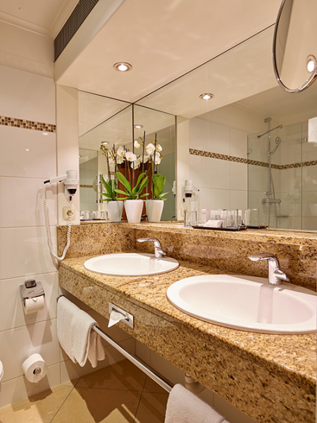 Badezimmer DAS LUDWIG2