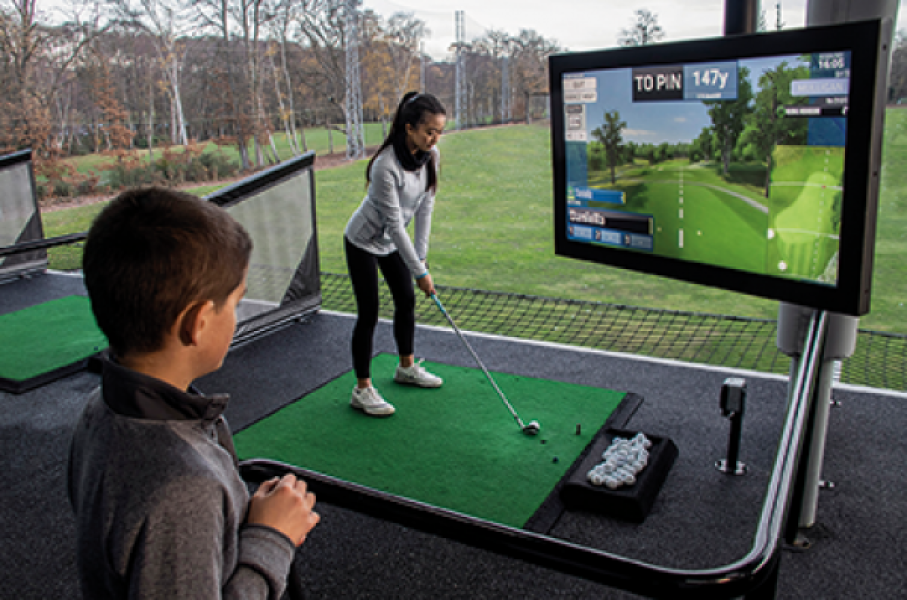 Laimer Simulator 3D Simulator 1