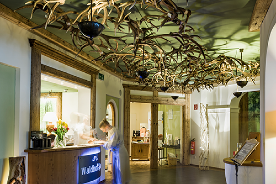 WAL 160204 Scout LR 0616 Spa Rezeption