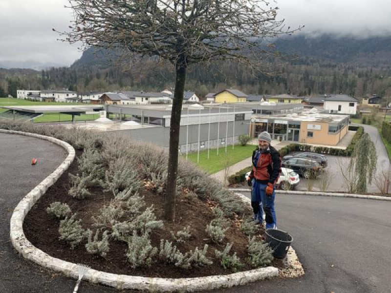 Auf der gesamten Anlage wurden 2.785 Straeucher und Baeume neu gepflanzt.