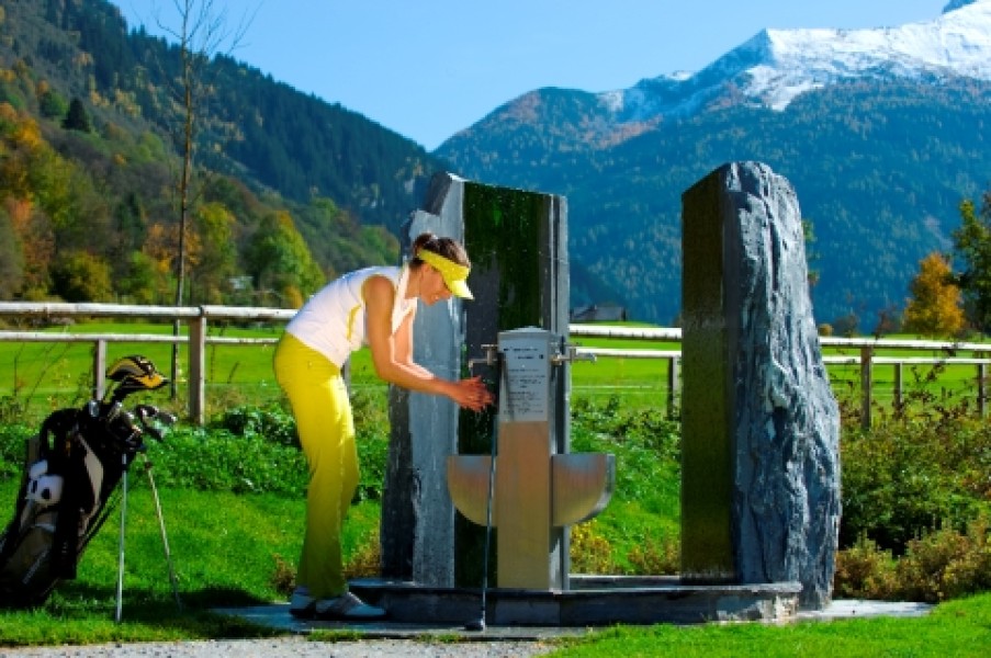 AlbinNiederstrasser 36klein