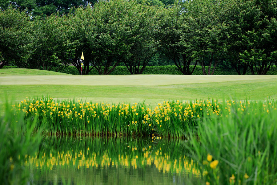 GM.12.05.25.course.MKIV.8