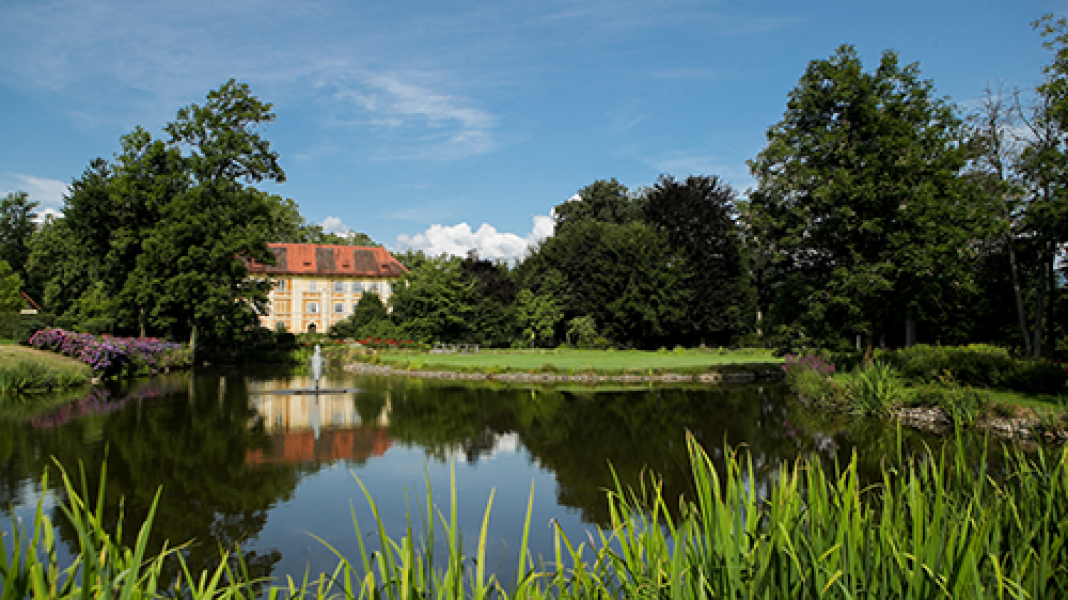 Schloss plus Umgebung 3