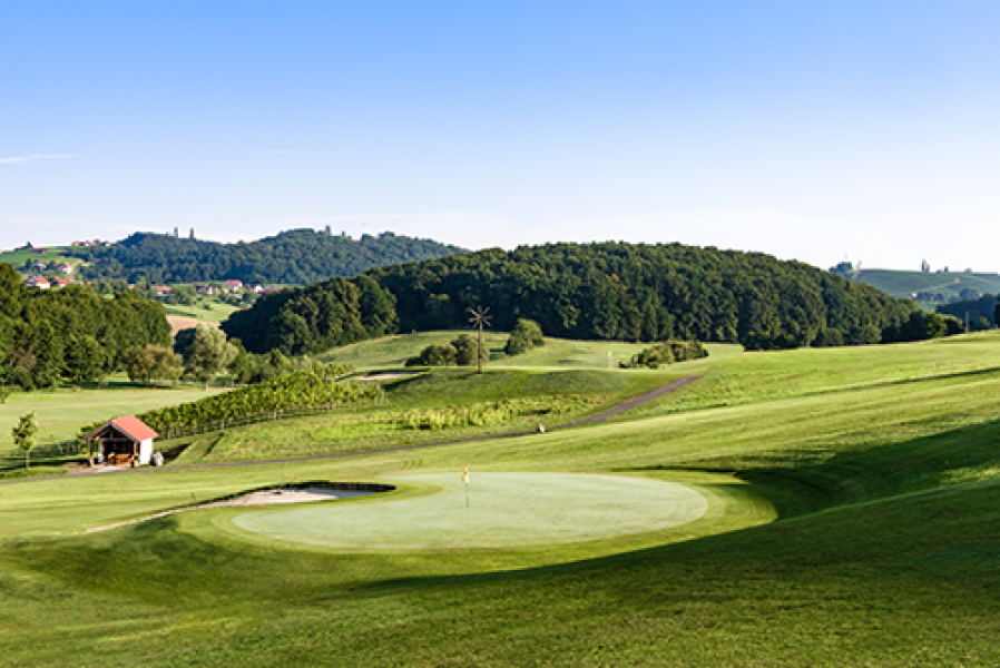 2 Traminer Golf Kloch