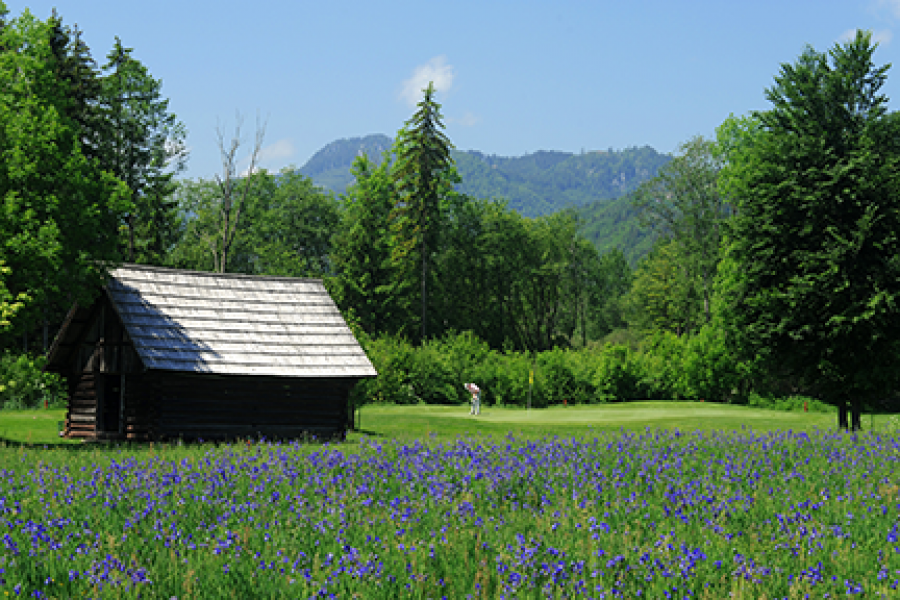 GLC Ennstal Iriswies Loch 15 Mai 09 mittelgross