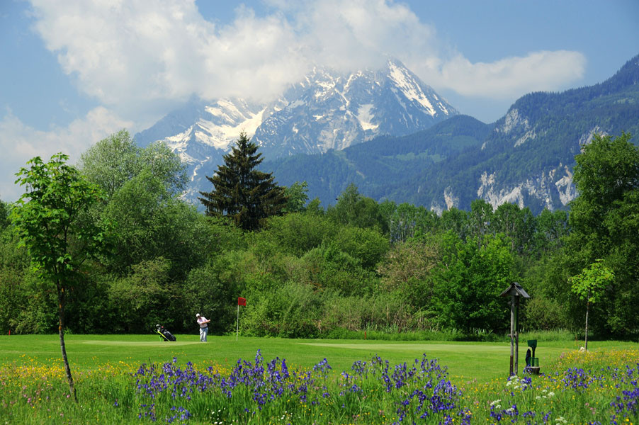 GLC Ennstal Iriswies Loch 17 Mai ´09 (mittel)
