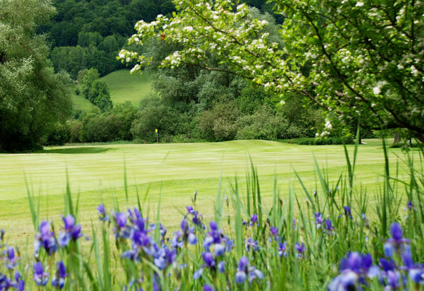 Loch 12 Irisblüte zoom 2013