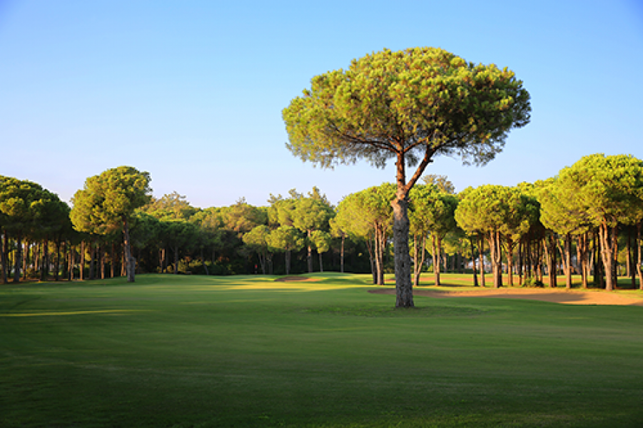 Glory Old Course 17 Loch2