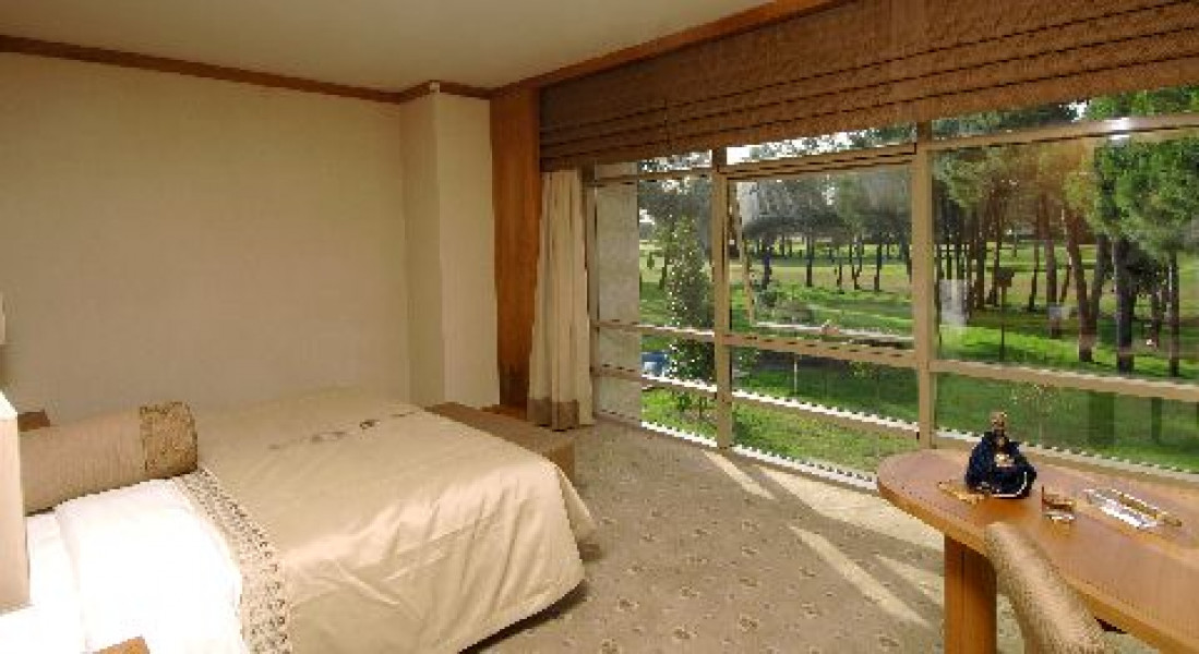 T Gloria Serenity 66