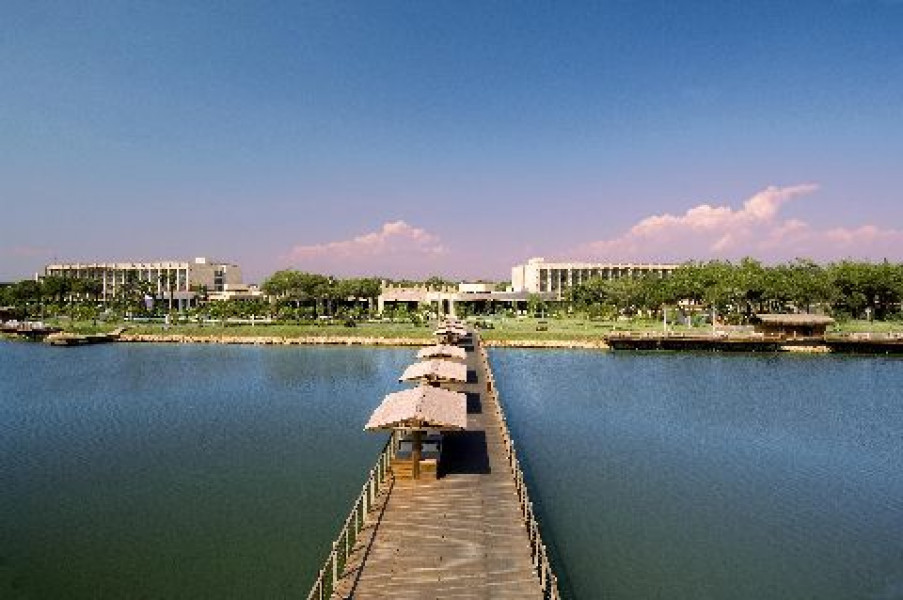 T Gloria Serenity 88