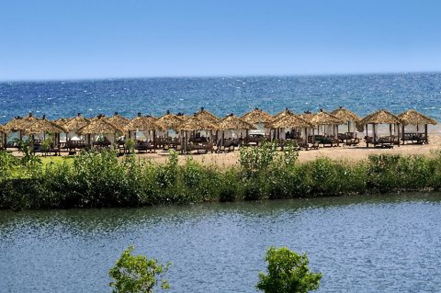 T Gloria Serenity 93