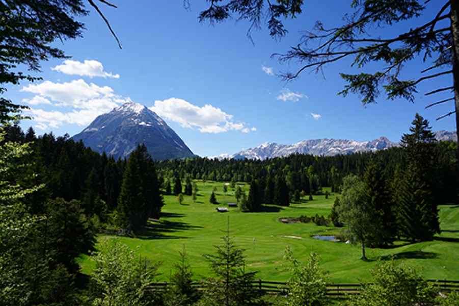 Seefeld wildmoos Story