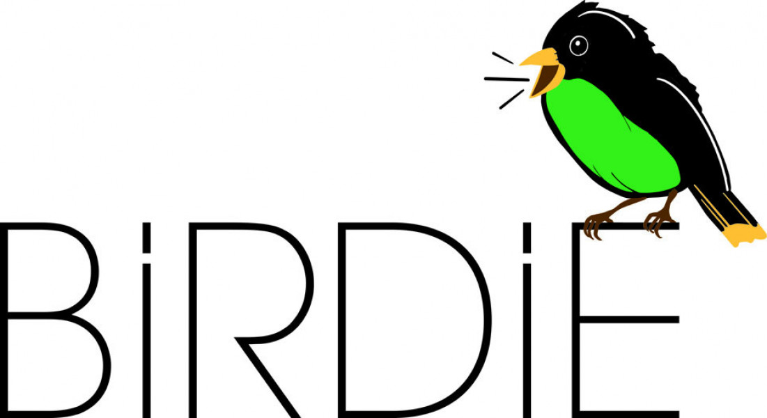 Birdie Logo 03 2024