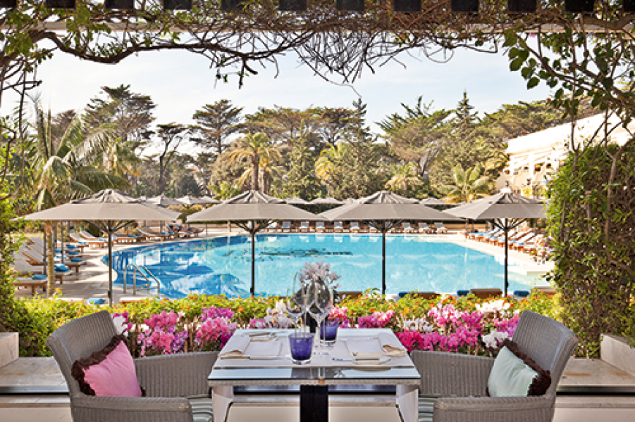 LIS535 p BoungaivilleaTerrace2