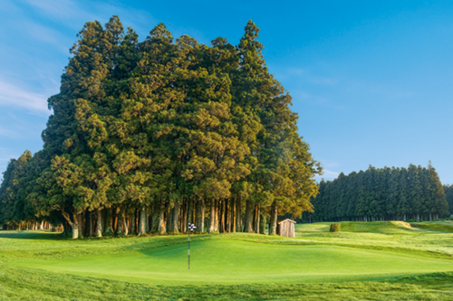 PT Golf Azoren Furnas 3