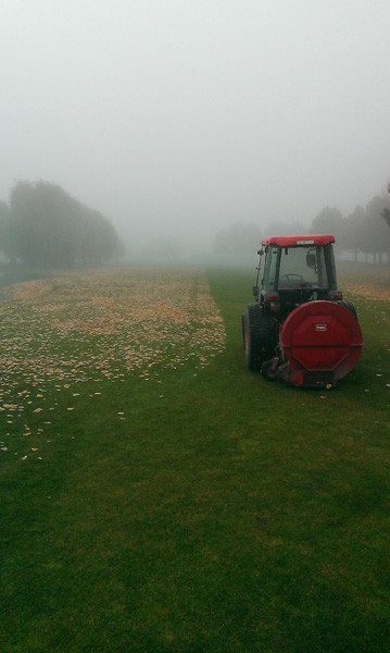 Bild 4 Golfartikel