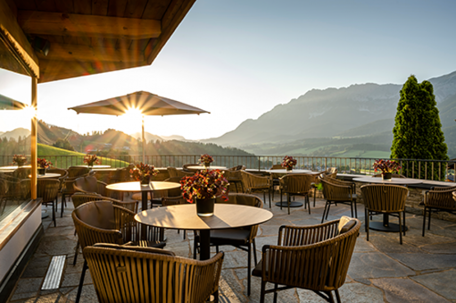 high res derbaer 0720 4148