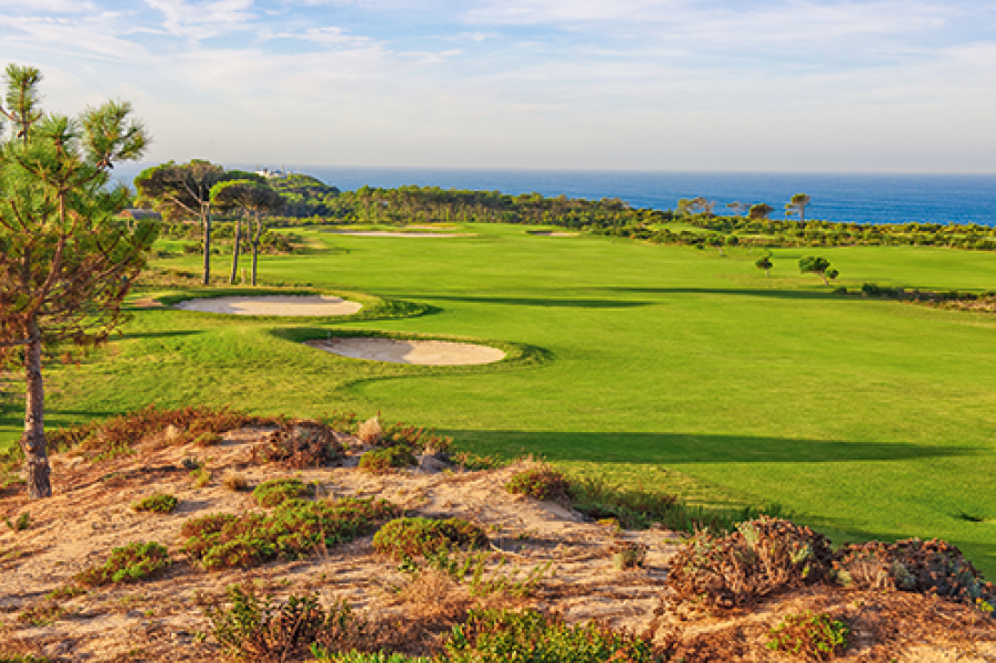 LIS661 go GolfplatzOitavos2019