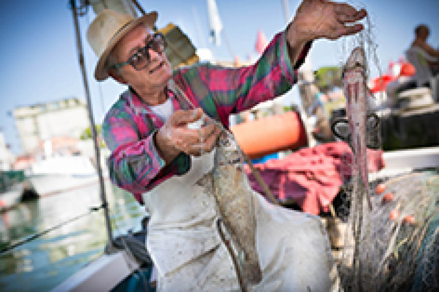 Caorle Fischer Klein v2