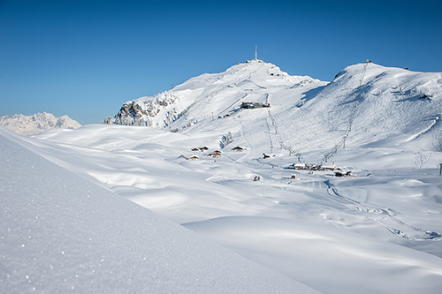 Michael Werlberger 0435 3