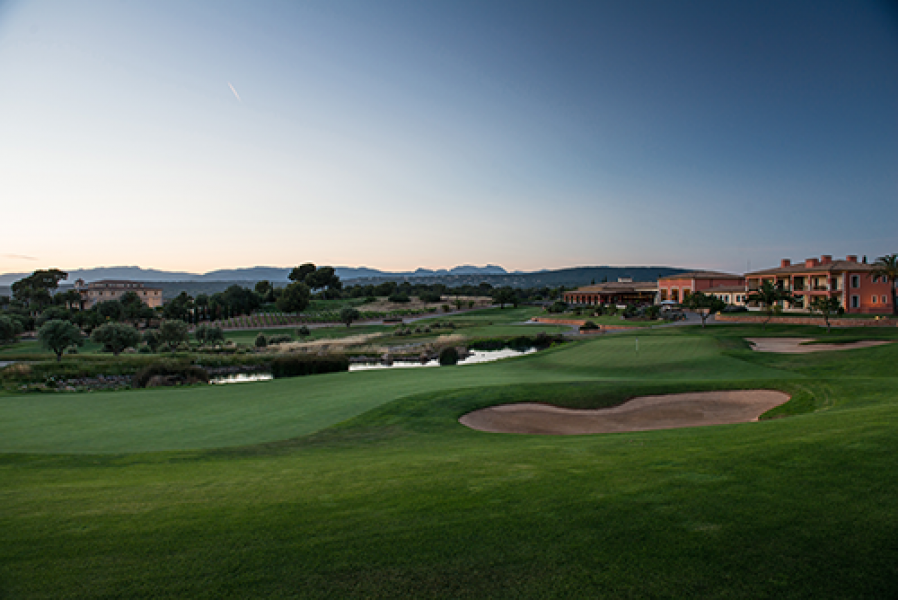 22956102251125438848fo