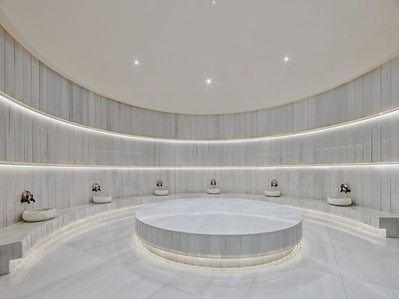 MBO Maxx Wellbeing Longevity 4