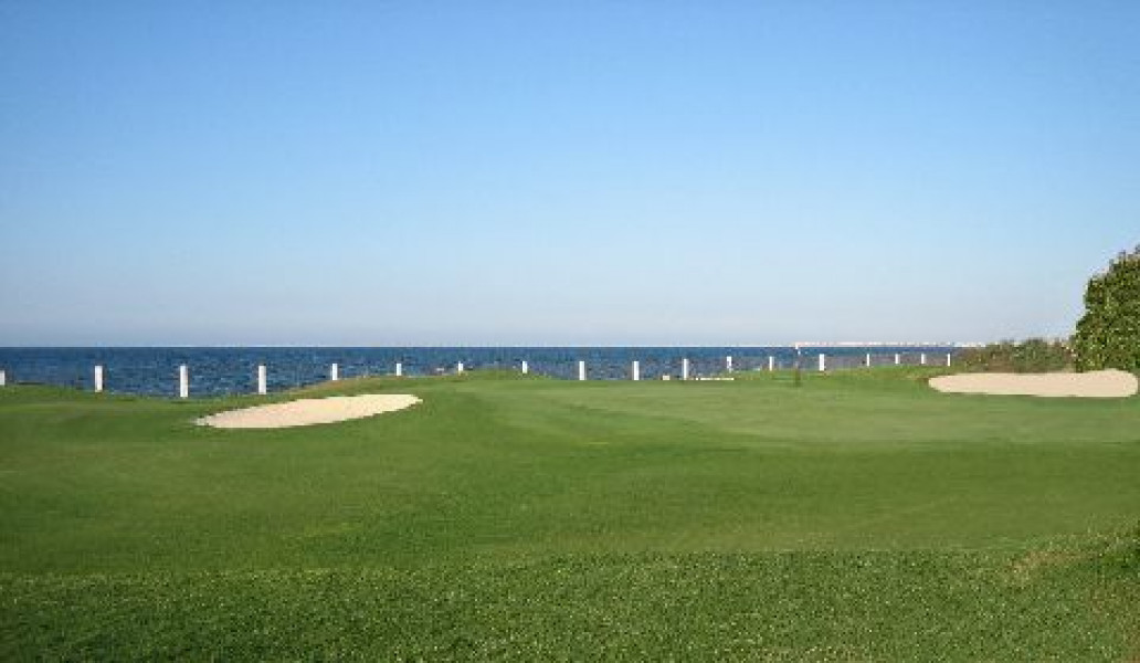 Green15