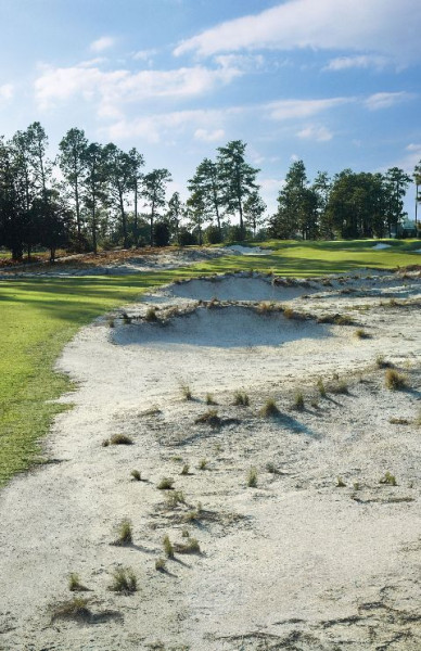 Hole13Pinehurst 703383