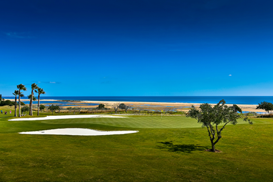 20150222 JO9B7782 editada2