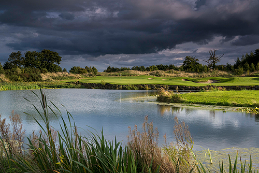 K Club Smurfit 13 green approach LHS reeds 2 3143