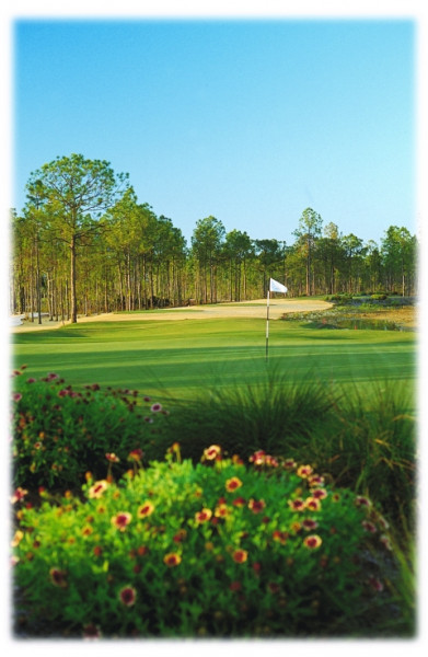 006300010547 RCNAPGLF 00024 12319