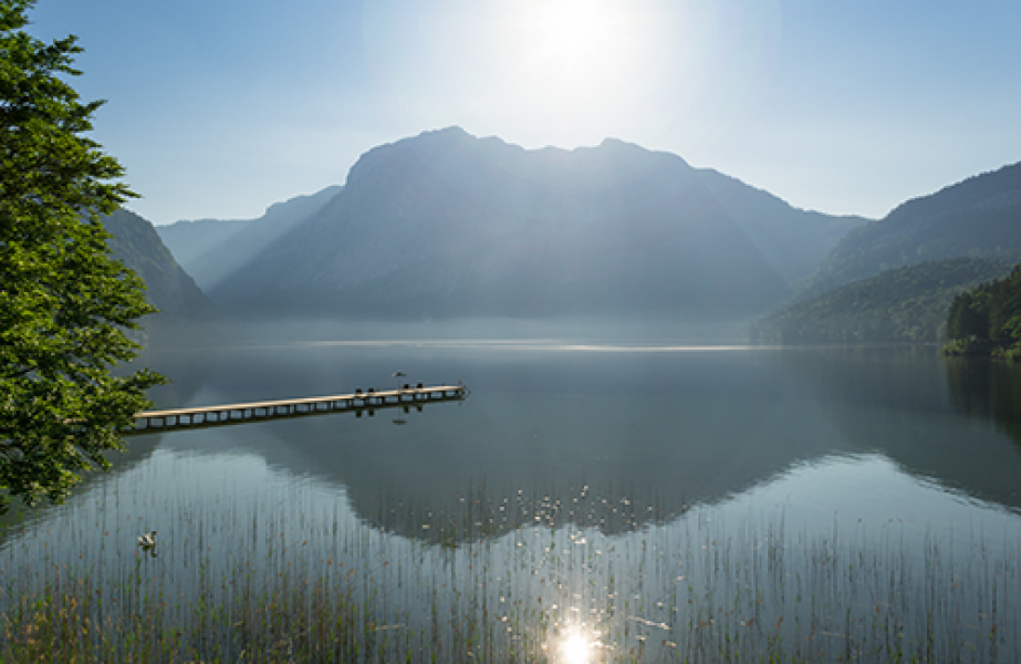 Viva Mayr Steeg00244